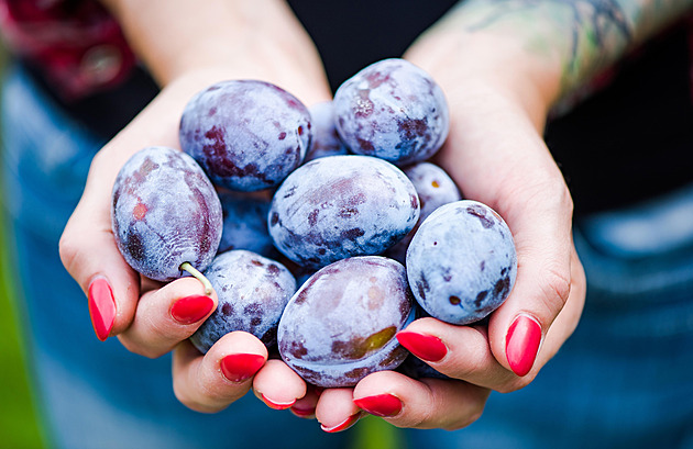 Voňavé a šťavnaté švestky. Jak s nimi v kuchyni kouzlí známí foodblogeři?