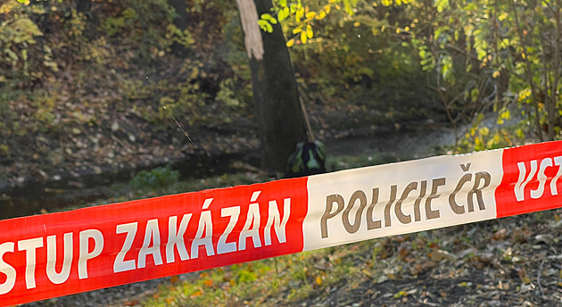 Hádka dvou mužů na Mladoboleslavsku skončila vraždou