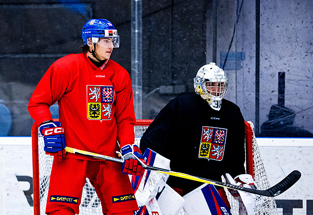 Zkrat českého mladíka. Vztekle bušil do ležícího soupeře, sudí byli nekompromisní