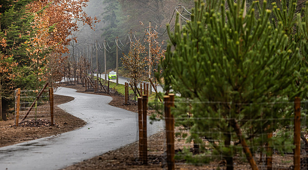 Cyklostezka měla obejít tůni s živočichy, tu však stavbaři zasypali. Vyhloubí prý jiné