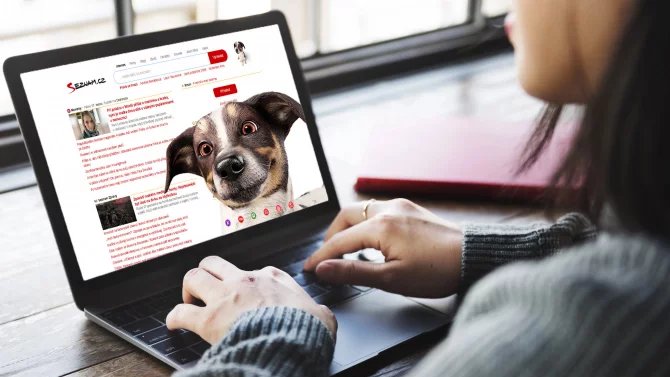 Pozor na podvodníky vydávající se za Seznam. Rozesílají falešné faktury na dlužné částky