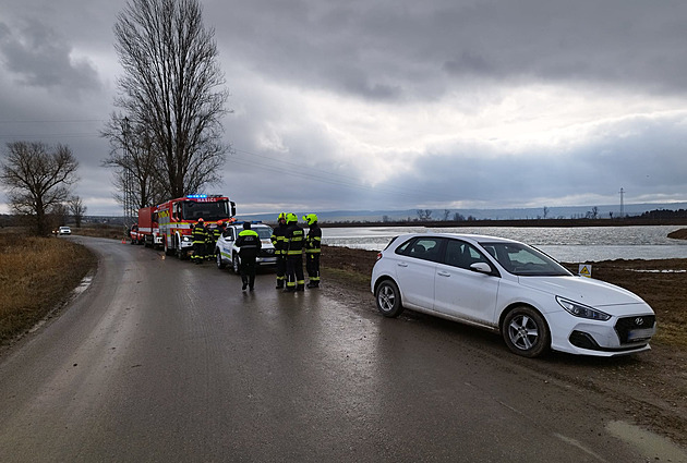 Labutě u řeky Moravy umírají na ptačí chřipku, chovům v okolí se zatím vyhýbá