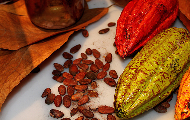 Kakao, které kupujete, není vždy kakao. Jak poznat kvalitu od sladké směsi