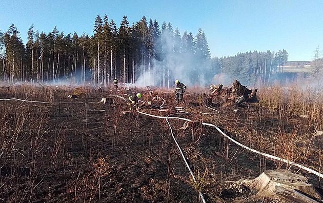 Velký požár lesa na Žďársku. Lidé utíkali před plameny, v akci jsou desítky hasičů