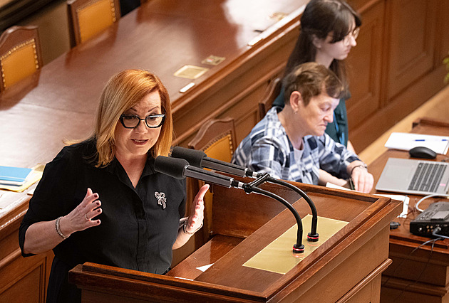 Poslanci se přou o úpravu zákona, která by umožnila větší zadlužování státu
