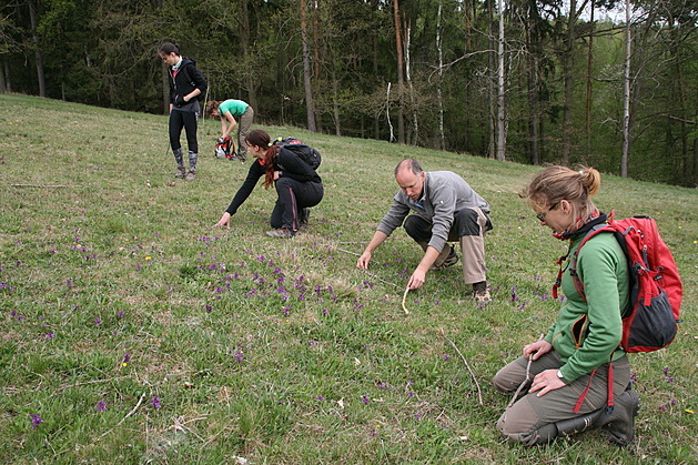Botanici budou počítat vzácné orchideje, přidat se může i veřejnost