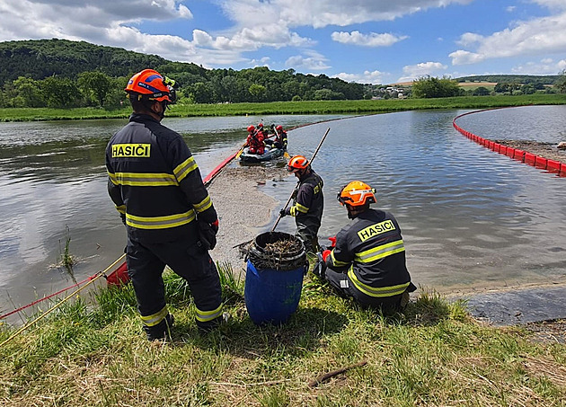 Řeku Moravu znečistily ropné látky, asi z kanalizace. Ryby ani ptáci neuhynuli