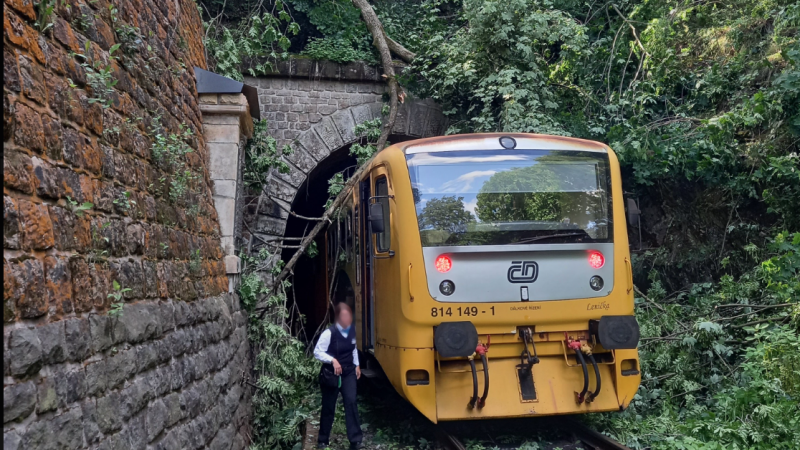 Vlak narazil u Rychnova nad Kněžnou do stromu. K nehodě došlo po výjezdu z tunelu